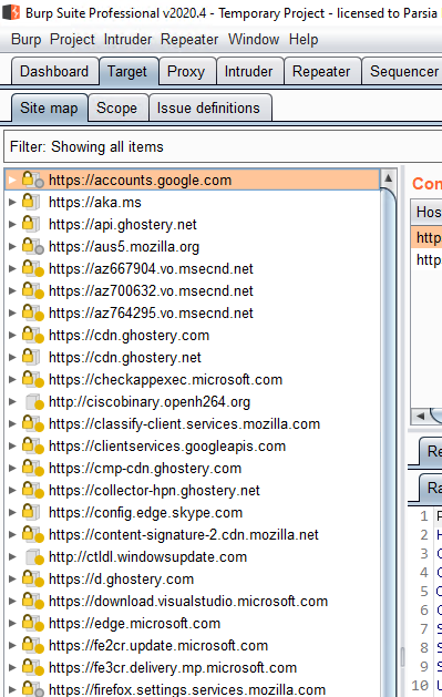 Domains in the Target tab