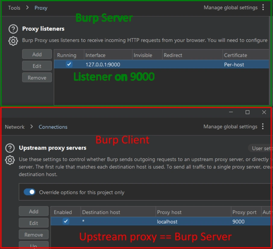 Burp client and server setup