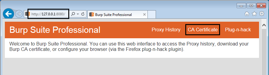 installing-burp-certificate-authority-in-windows-certificate-store