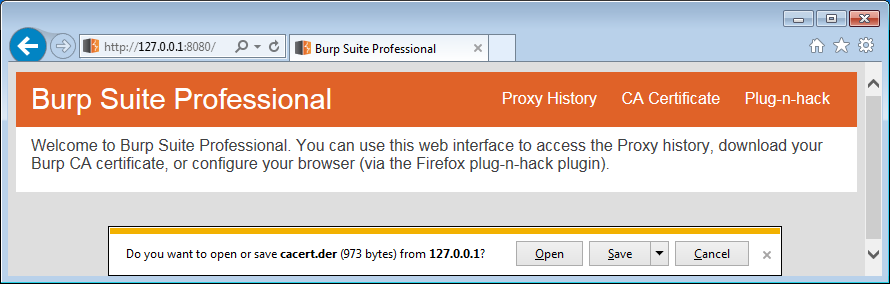 burp suite certification review