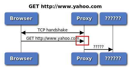 What does the proxy see?